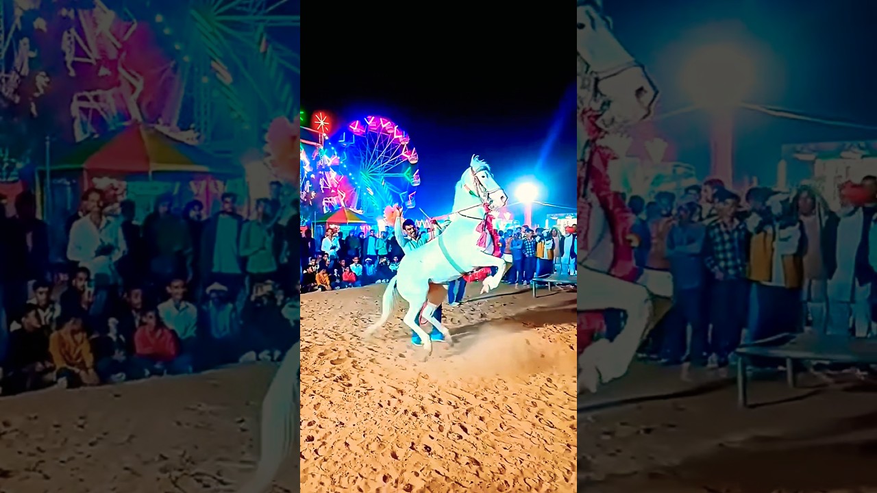 ram ram horse dance rajshahi trending video #anlimatedcomedy #camelcity #camel#trending #shorts