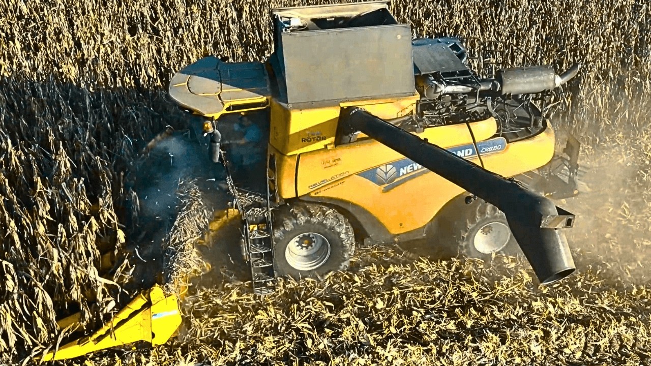 Уборка кукурузы New Holland CR Revelation 2025 года. Обмолот