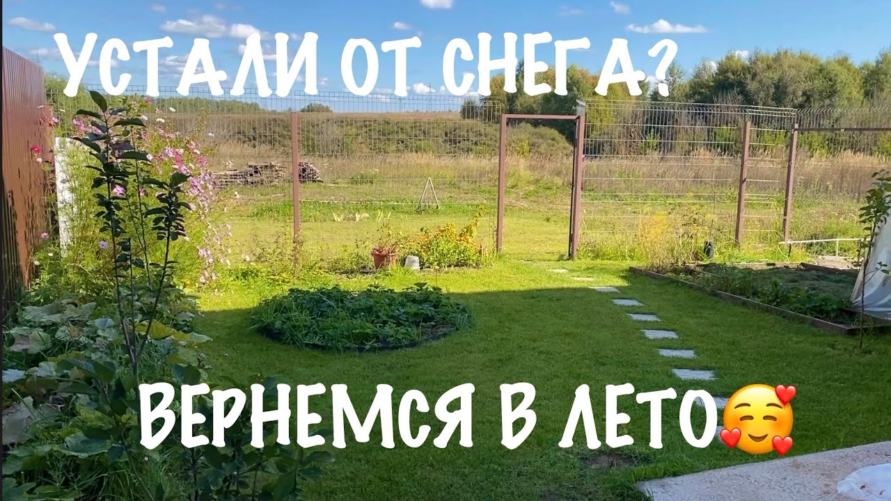 🍀ПРОГУЛКА ПО ЛЕТНЕМУ САДУ| Воспоминания о лете☀️ | Из зимы в лето🔥 #садснуля #загородныйдом 