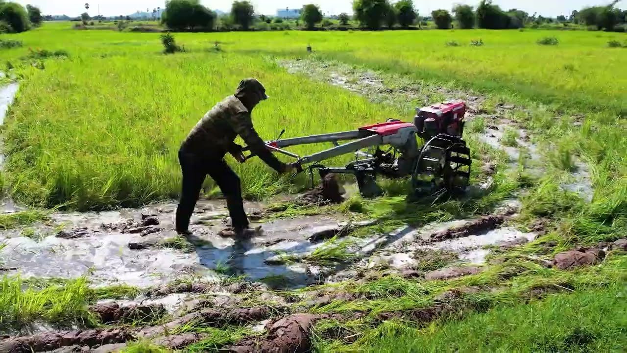 Incredible!!kubota ZT 155 plow the sand fields ,คูโบต้า ZT180