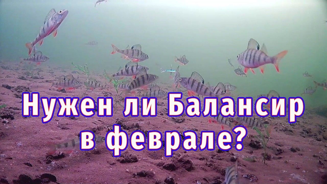 Окунь в глухозимье. Море снега и воды на льду!