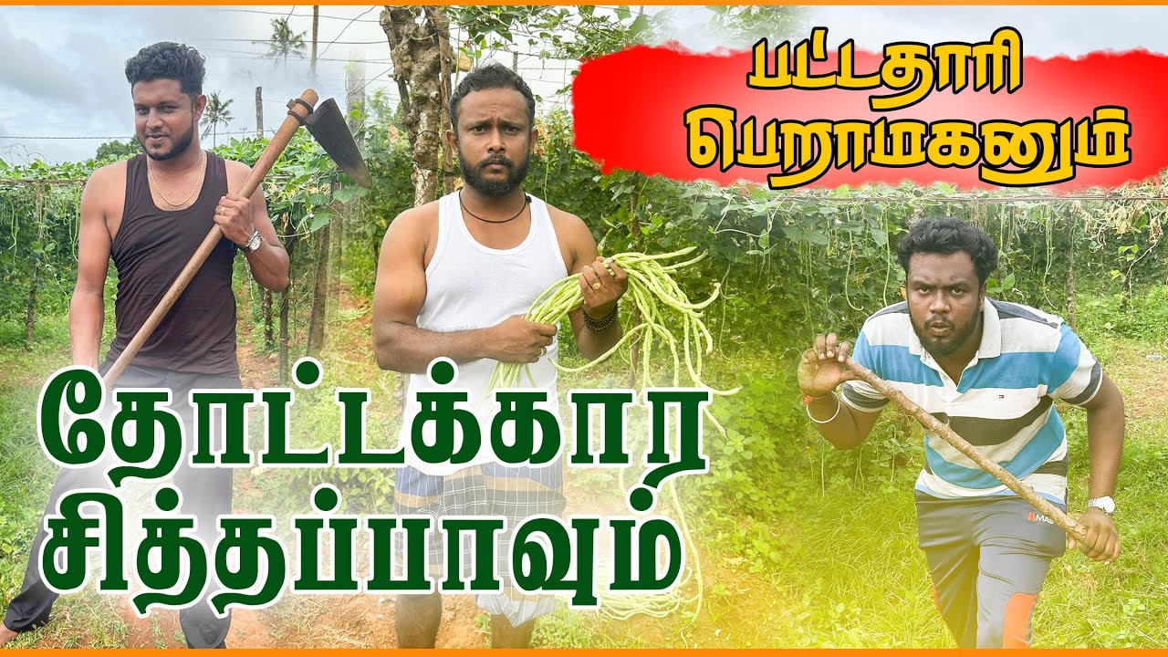 பட்டப்படிப்பு முடிச்சிட்டு வேலை இல்லாட்டி இதான் நிலமையா?? #jaffna #comedy #tamil #musuppaththi