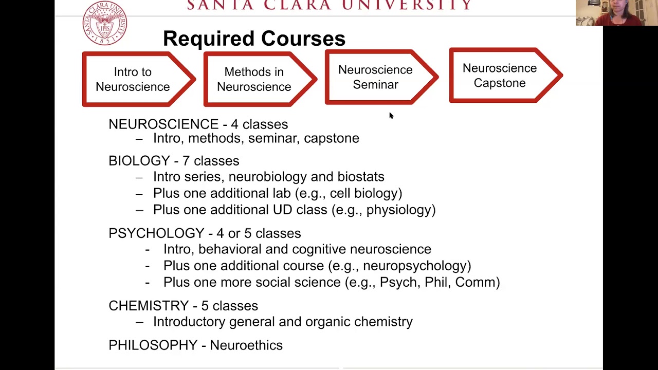 Neuroscience at SCU