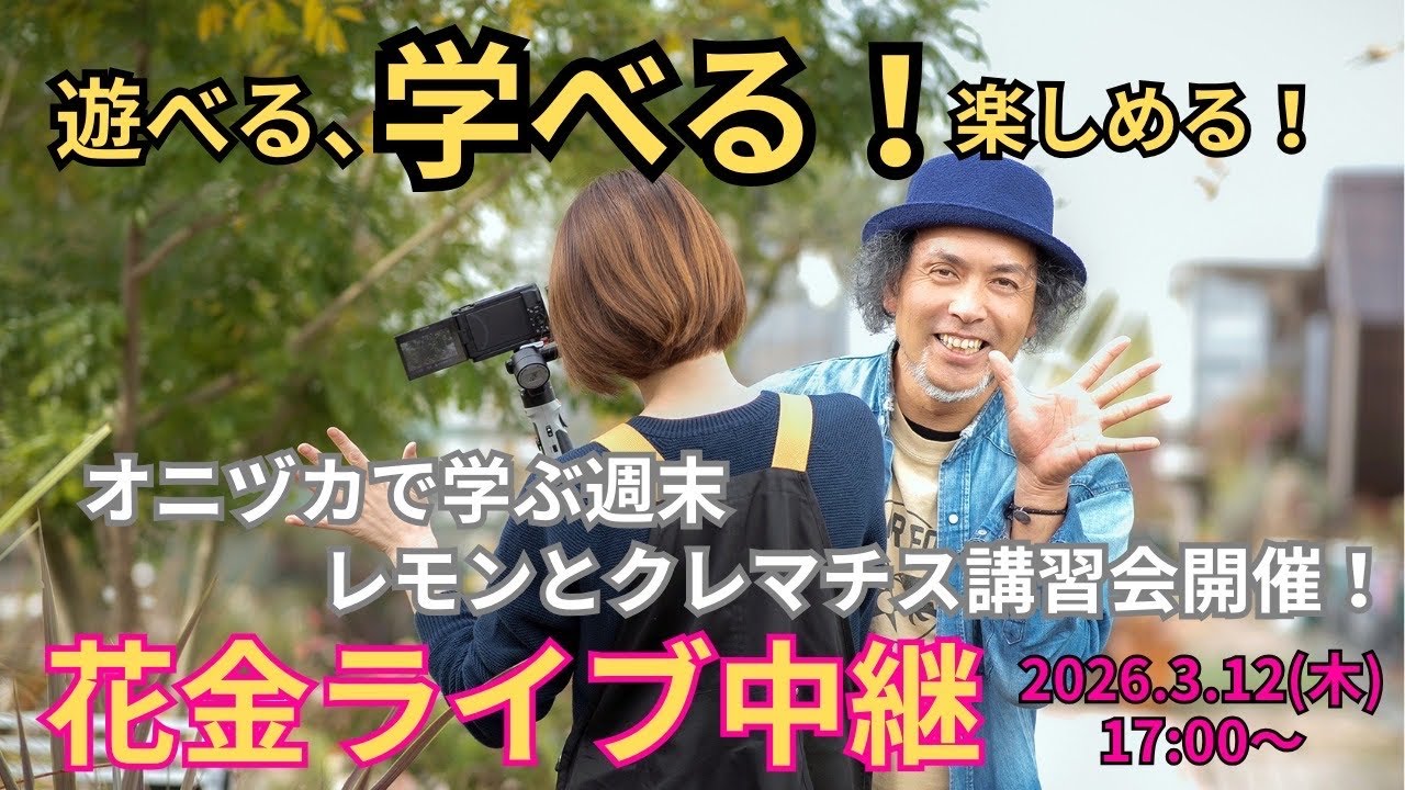 明日は花いっぱいの【花金】