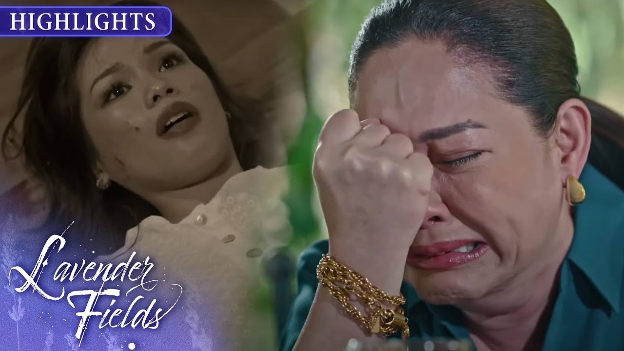 Aster's tears flowed over Marigold's fate | Lavender Fields (w/ English Subs)