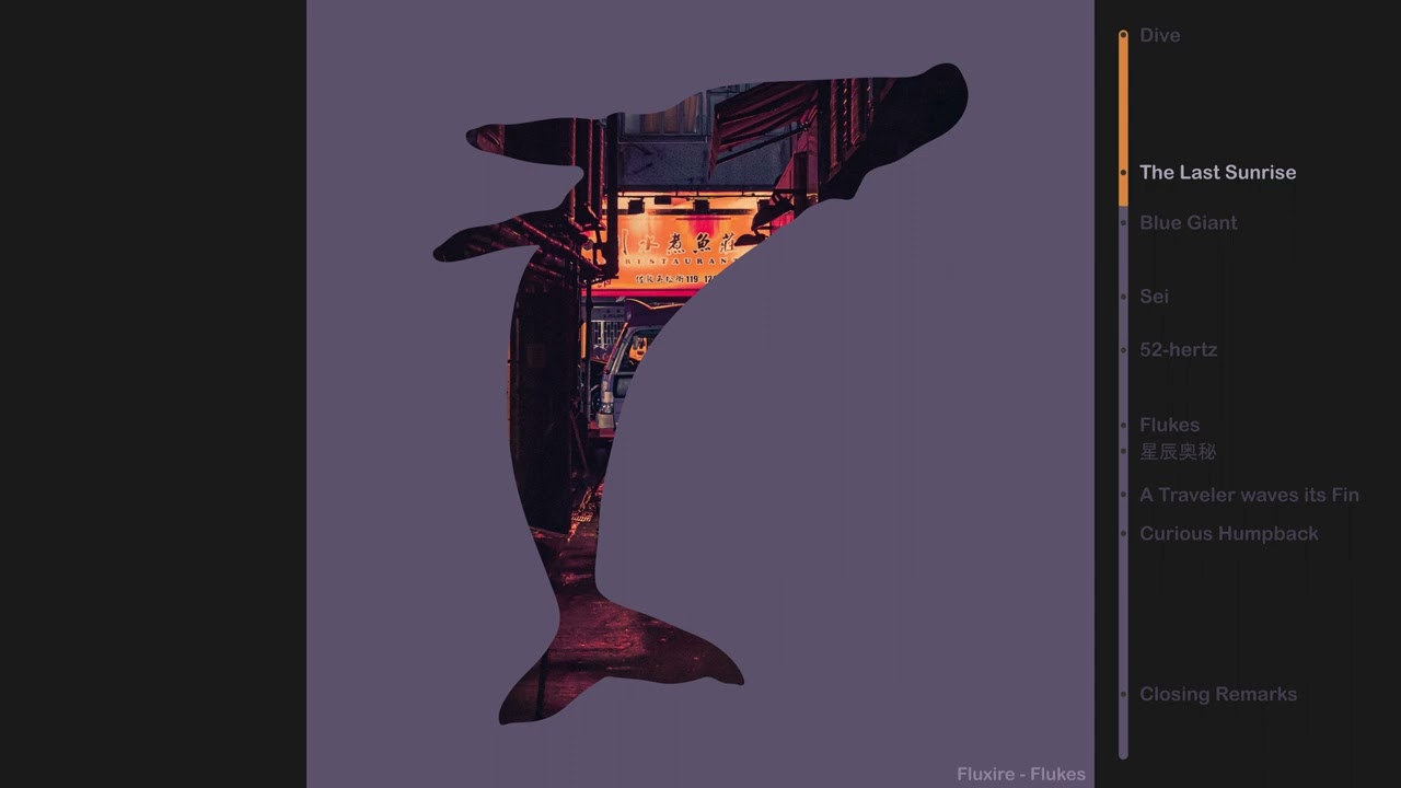 Fluxire - Flukes (Digital Album)