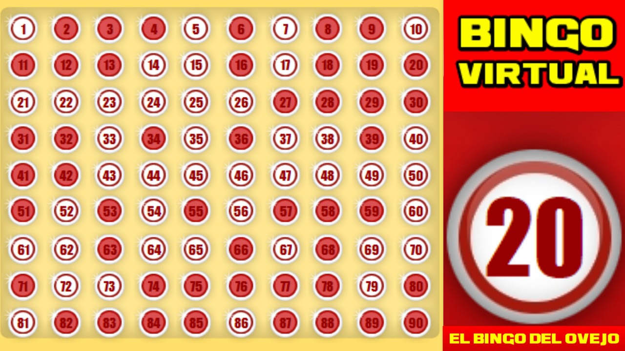Bingo  Virtual 20