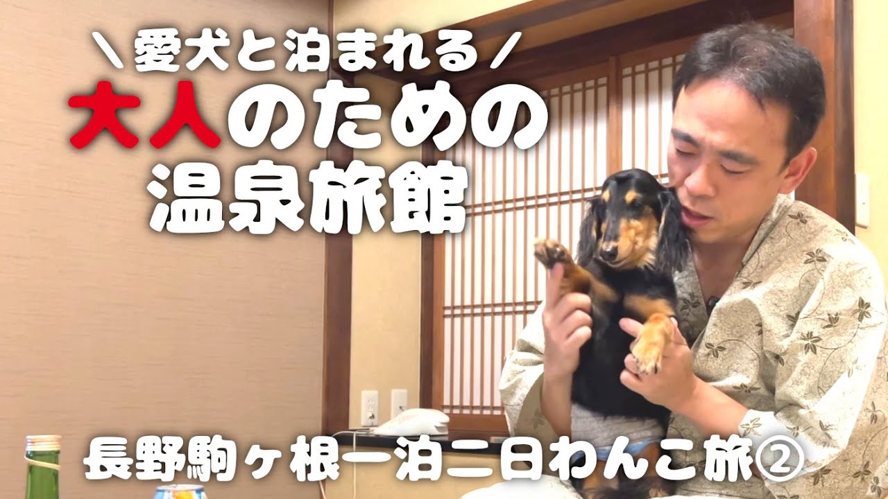 【犬連れ旅行長野駒ヶ根宿】愛犬と泊まれる宿 温泉旅館「二人静」さん 1泊2日わんこ旅2/3 2023.8