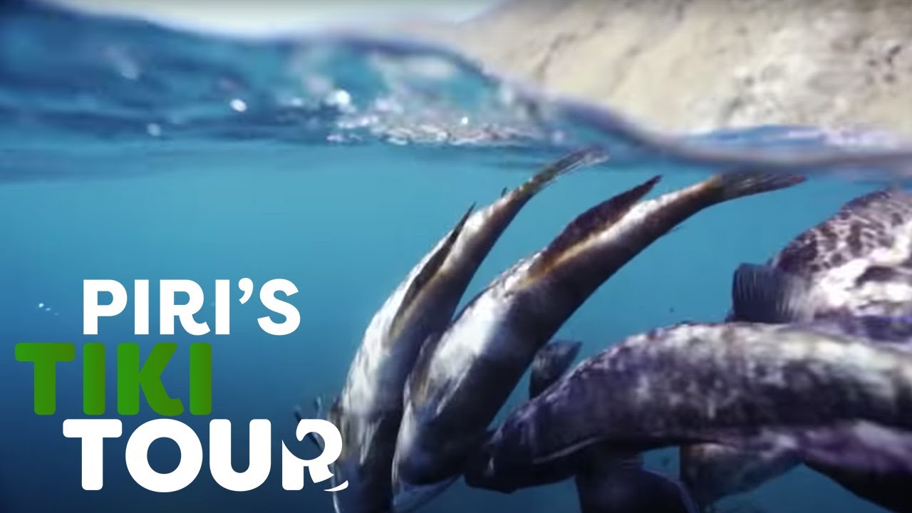 Лучшее место для дайвинга в Новой Зеландии — Piri's Tiki Tour — Сезон 1 — Эпизод 6