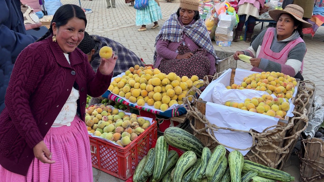 Feria de Pocota provincia Ingavi La Paz Bolivia  | CHOLITA ISABEL
