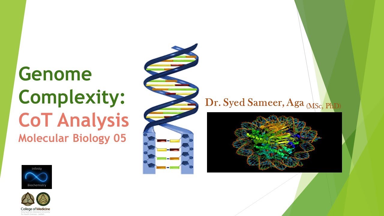 Genome Complexity - CoT Curve: Molecular Biology 05