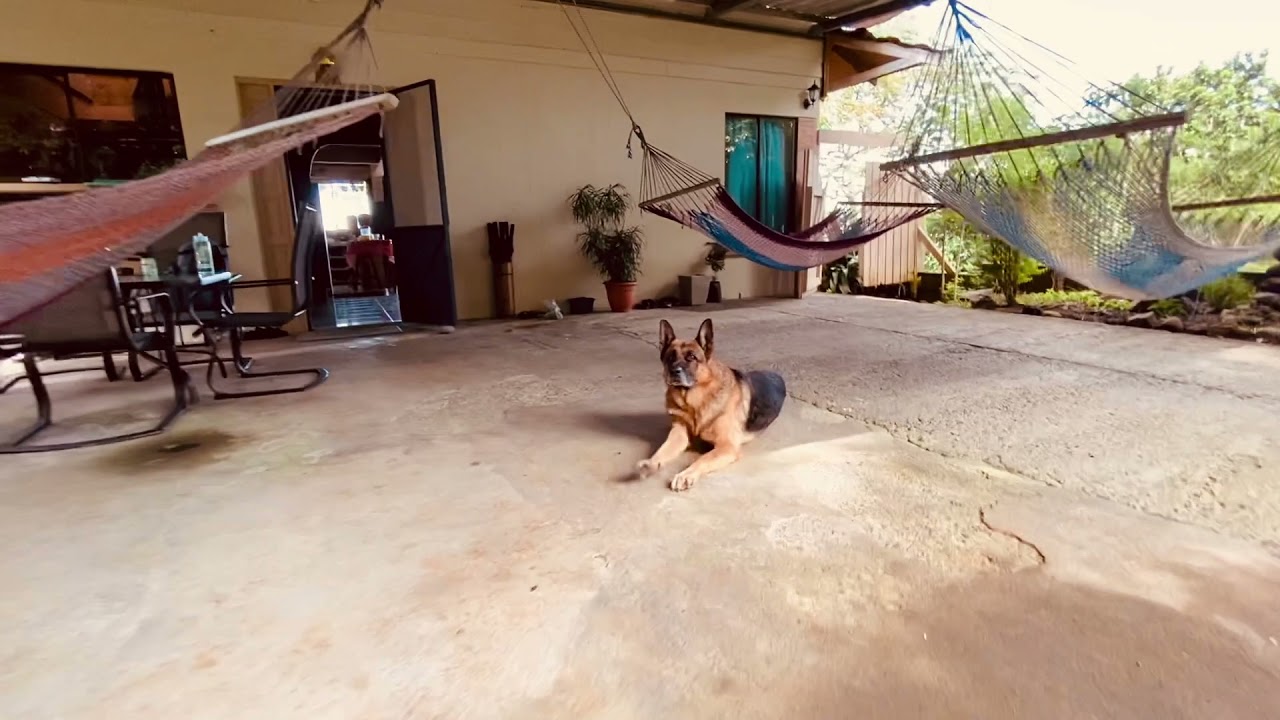 Nada Brahma