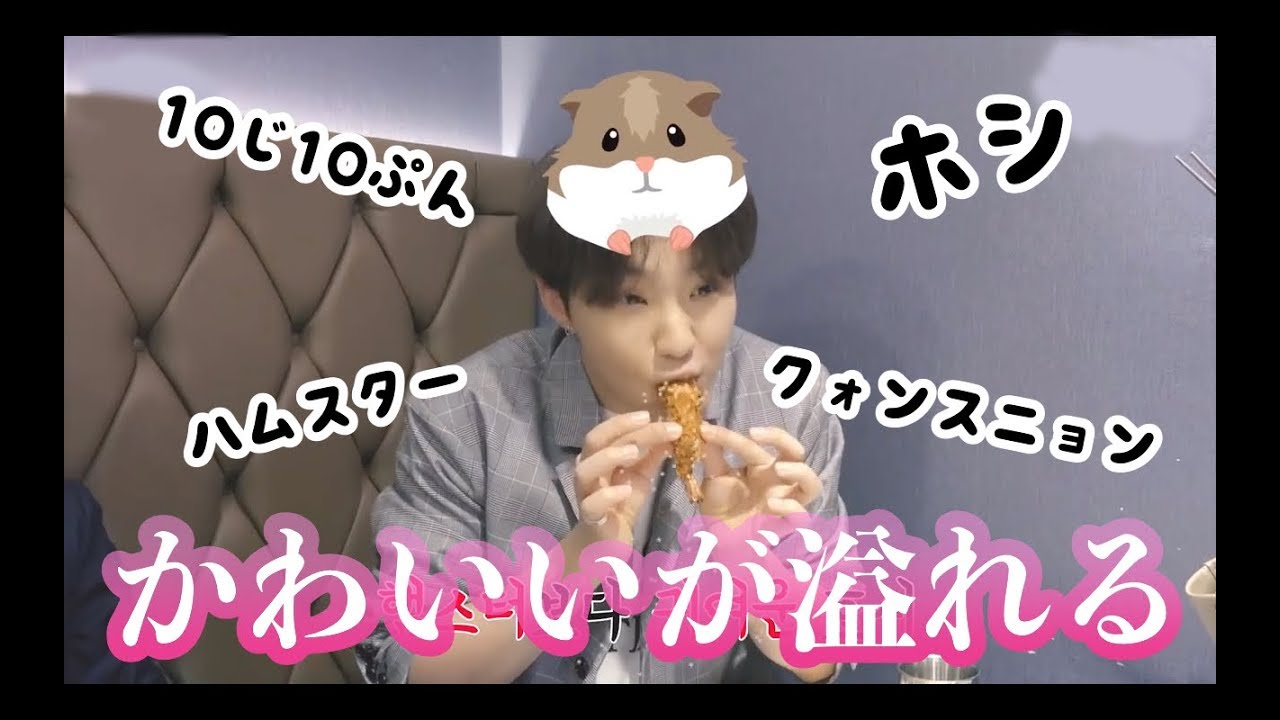 [セブチ/ホシ] ディンゴのスニョンはかわいいの代名詞 [SEVENTEEN/세븐틴]