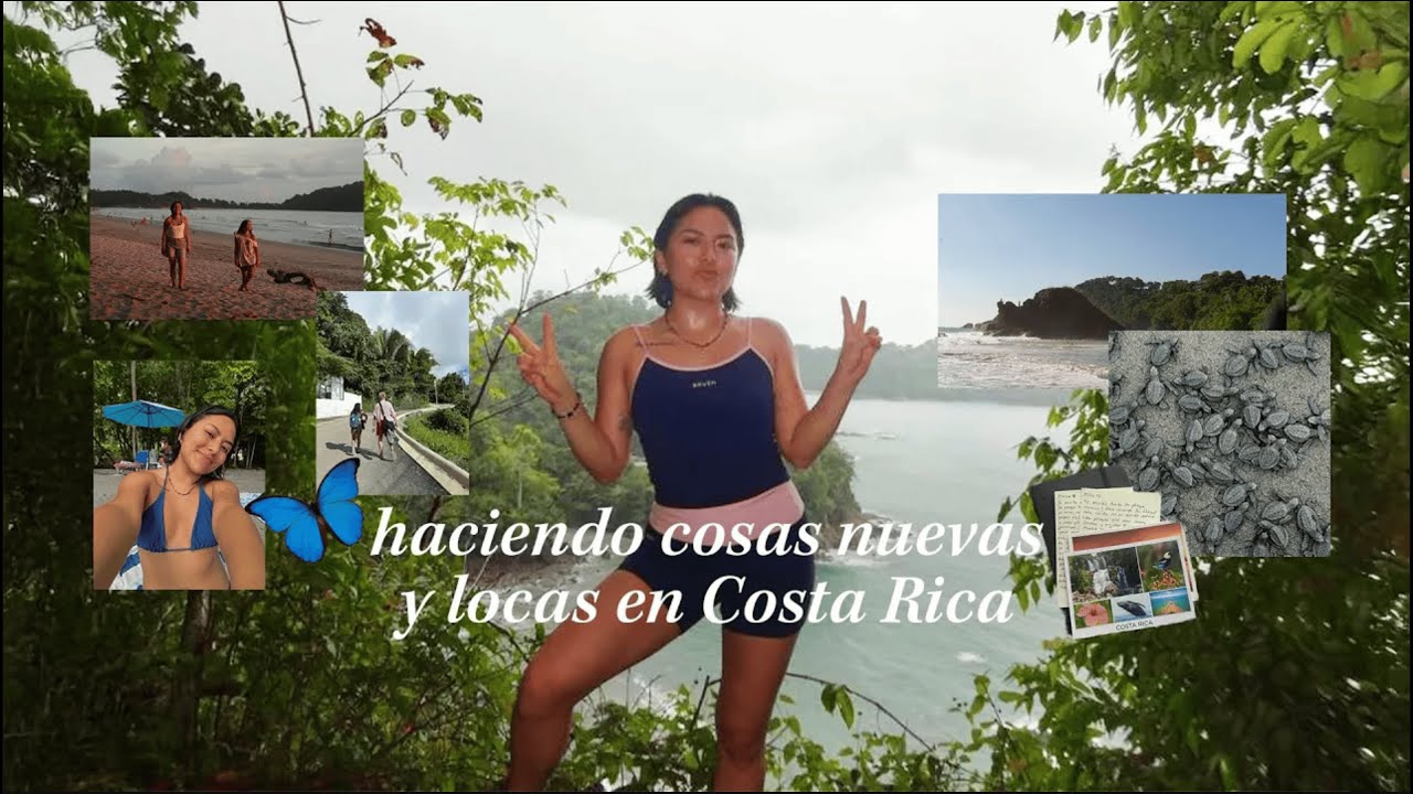 voluntariado en costa rica | playita, selva y muuuchos animales