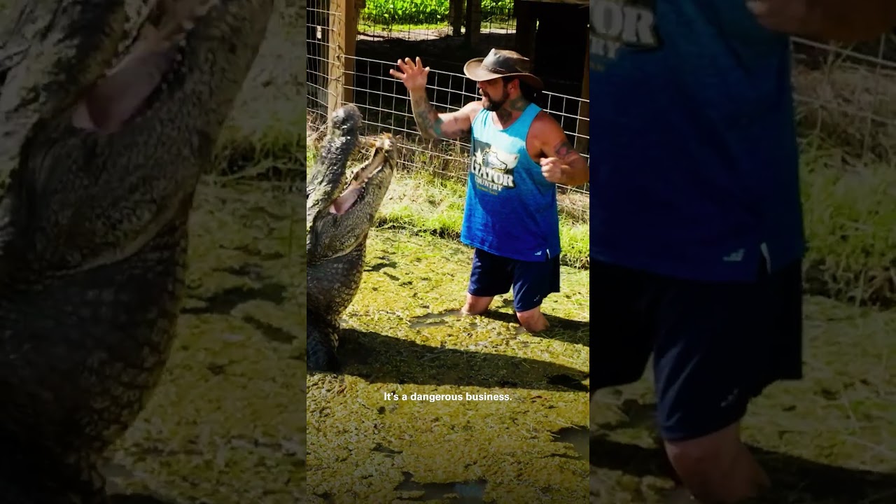 SAVING GATORS in Texas! | 