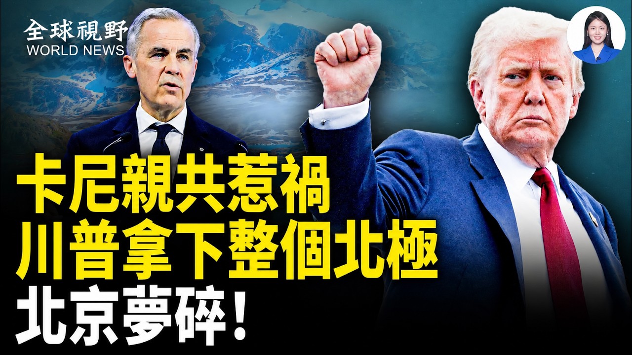 卡尼親共惹禍 加國政商界反擊 ；車禍剛發生 救護車已在現場？中共不寒而慄的器官鏈【全球視野】