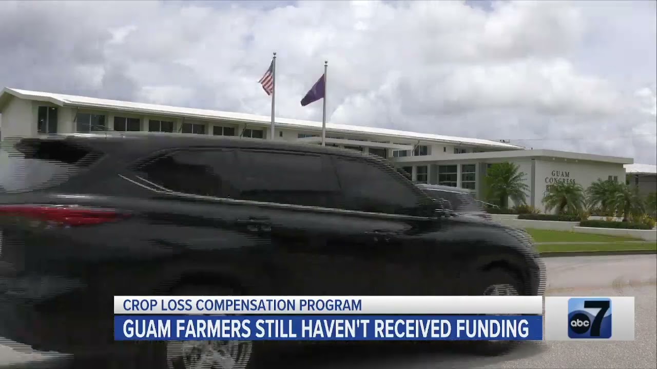 Guam Farmers Still Haven't Received Funding from Crop Loss Compensation Program