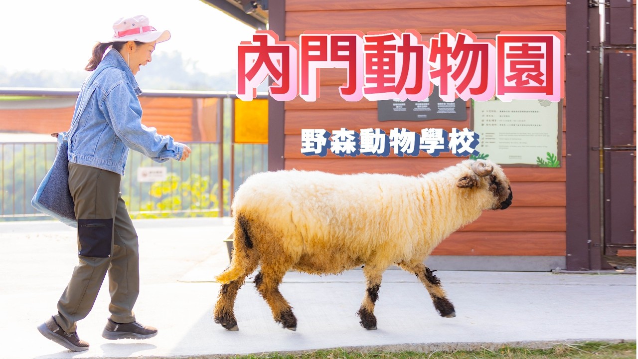 高雄內門最新『野森動物學校』親子