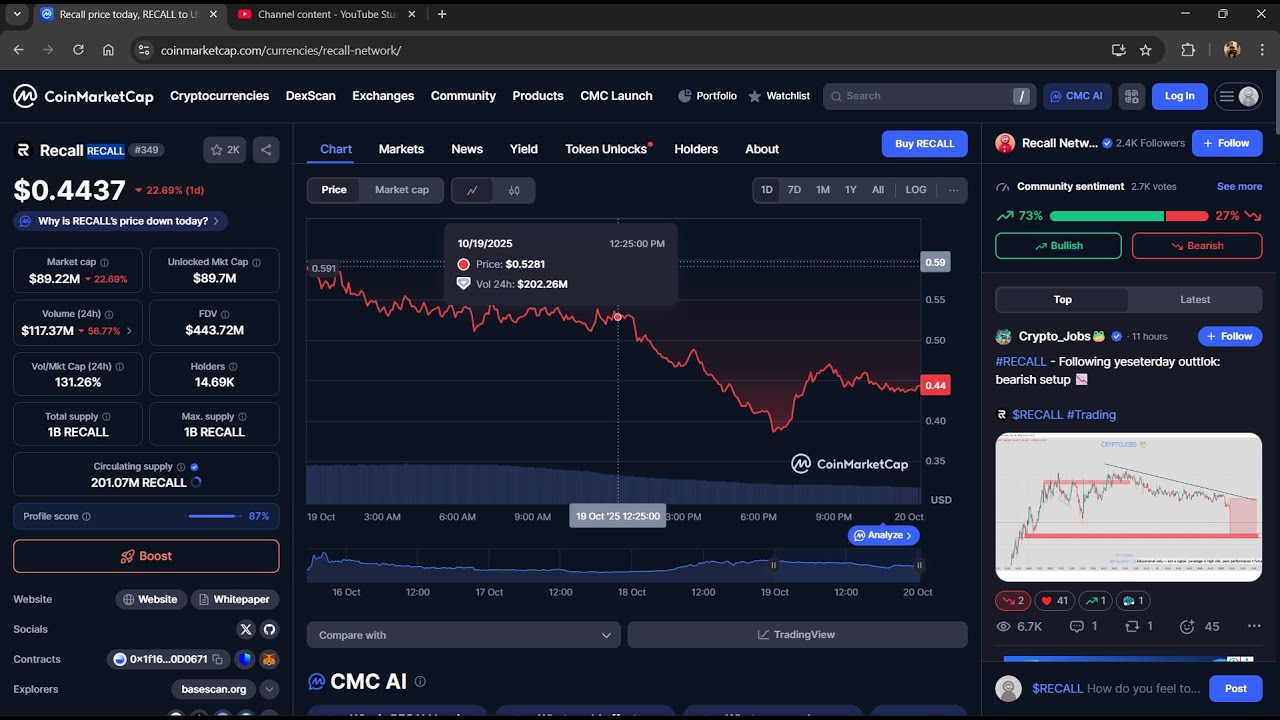 Является ли токен Recall ($RECALL) законным или мошенничеством?