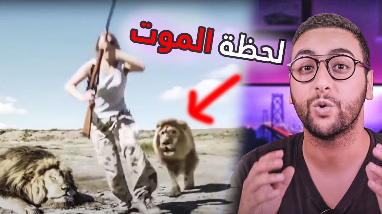 كلاهم الأسد أمام الكامرة … !! فيديوهات صورت قبل الكارثه 🤯