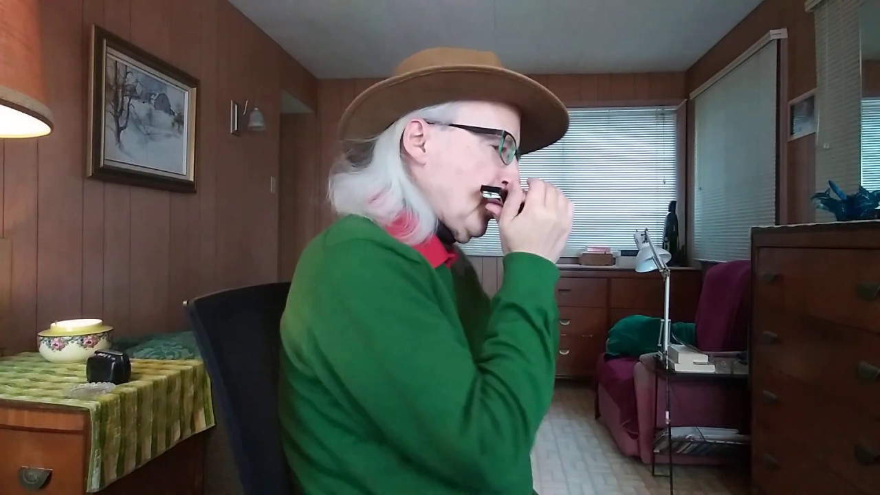 On The Road Again (Willie Nelson) harmonica