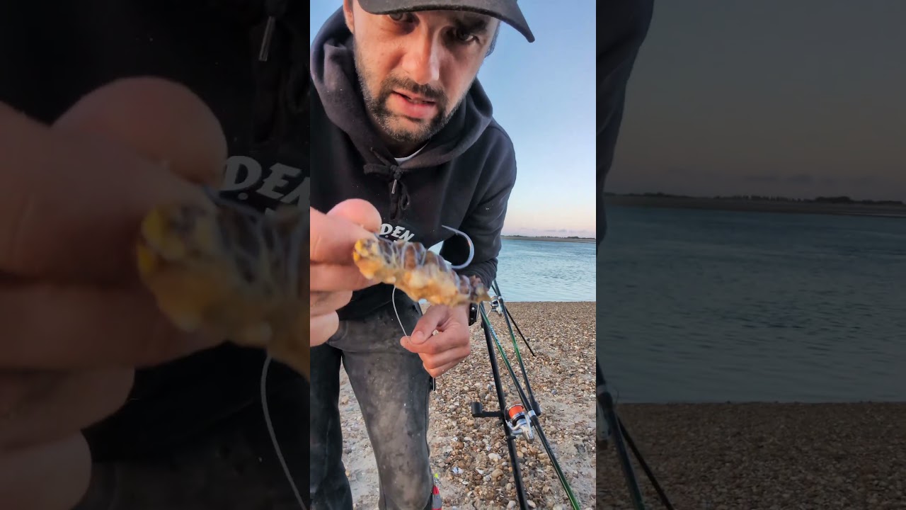 how I bait my crab on a j hook #fishing #seafishing #fish #fishingtips #angler #fyp
