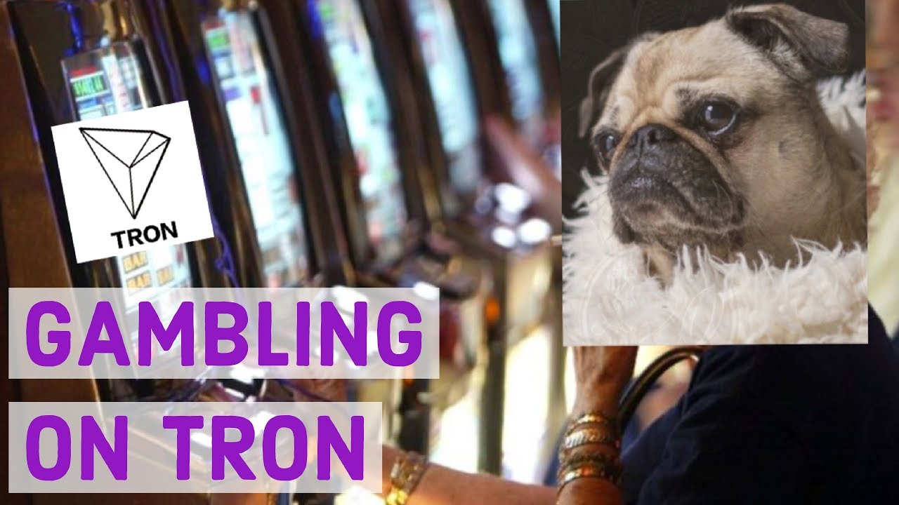 TRON (TRX) Will Offer Gambling Games - Evidence From Live Stream🎰🎲🎲🎰