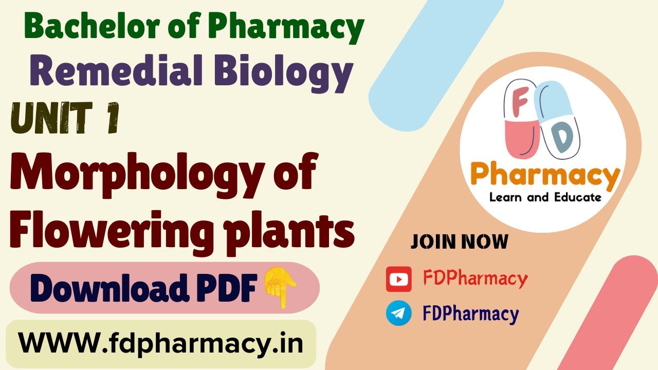 Unit 1 Morphology of Flowering plants Notes | Remedial Biology Notes | B.Pharmacy Notes
