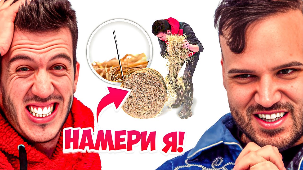 ДАНИ ТЪРСИ ИГЛА В КУПА СЕНО | АРЕНА НА ШАМПИОНИТЕ | ЕП.5