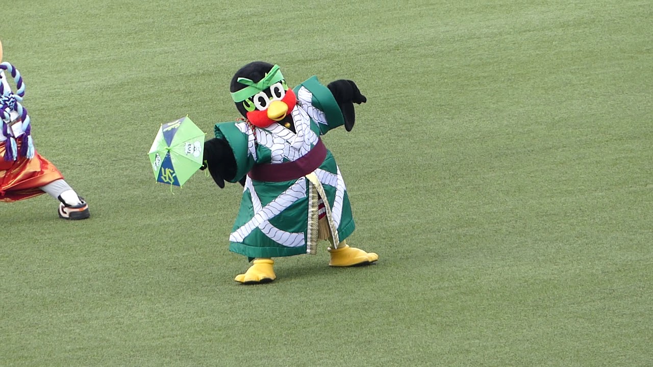 つば九郎先生、今日も見事な歌舞伎姿を披露する　2018/4/8