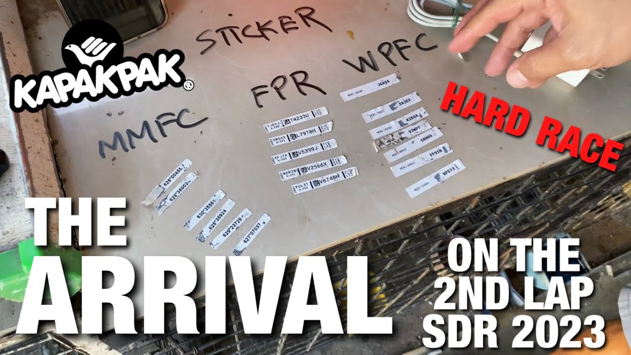 THE ARRIVAL ON THE 2ND LAP (SDR 2023) [HARD RACE]