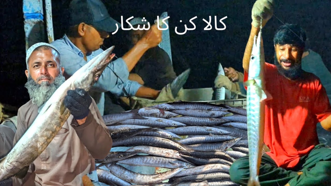 New Report Charna island Kala Kund jaam hai #flshingvideo #bottomflshlng #