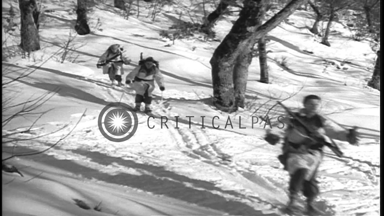 US Army Ski troops of 86th Regiment, 10th Mountain Division advance through snow ...HD Stock Footage