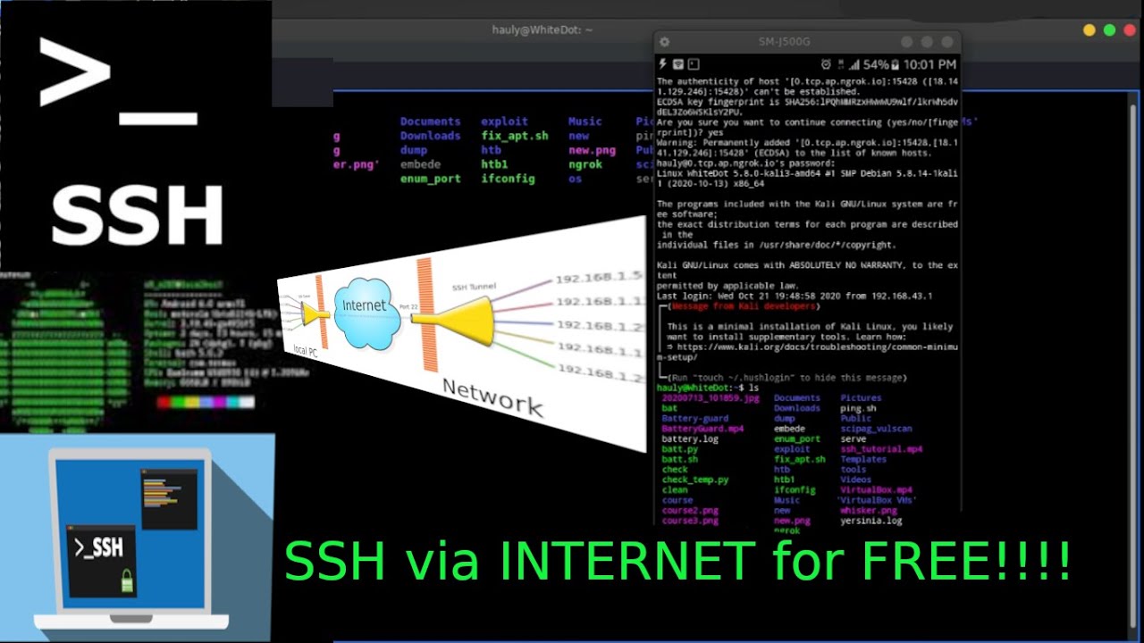 SSH over Internet For FREE !!! | Linux Remote setup | Ngrok | CLI | WAN