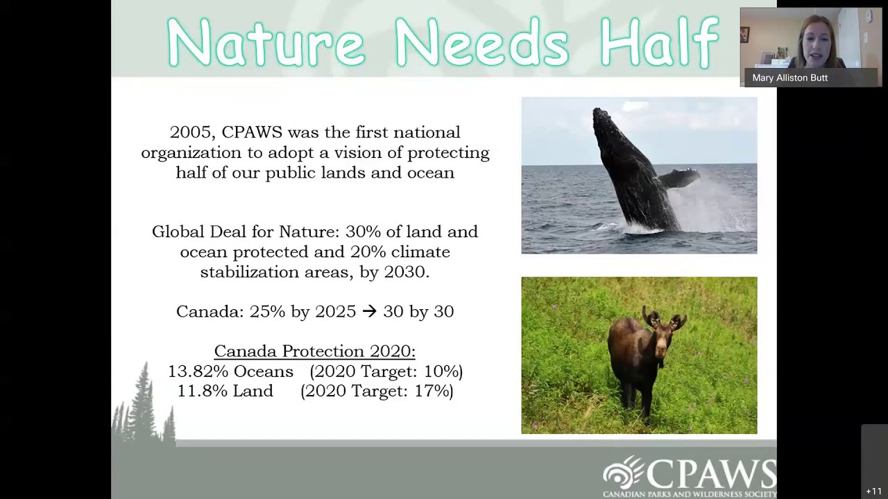 Species and Habitat Protection