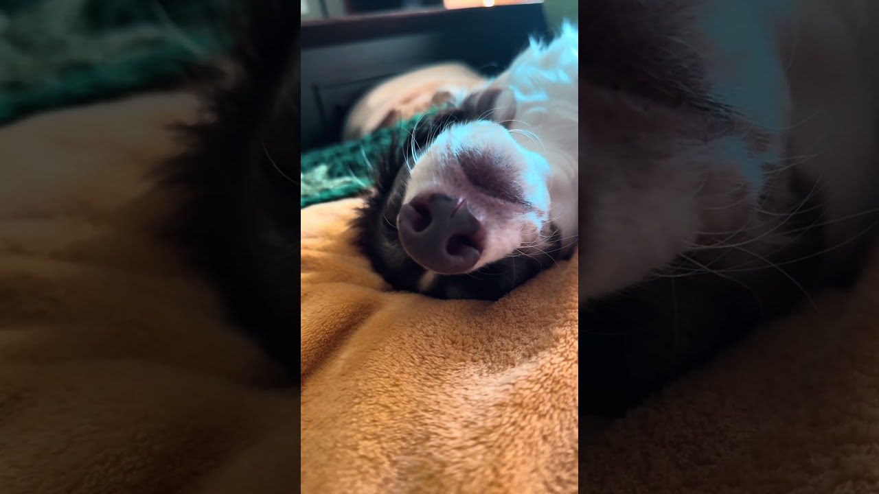 What a weirdo 🤣 