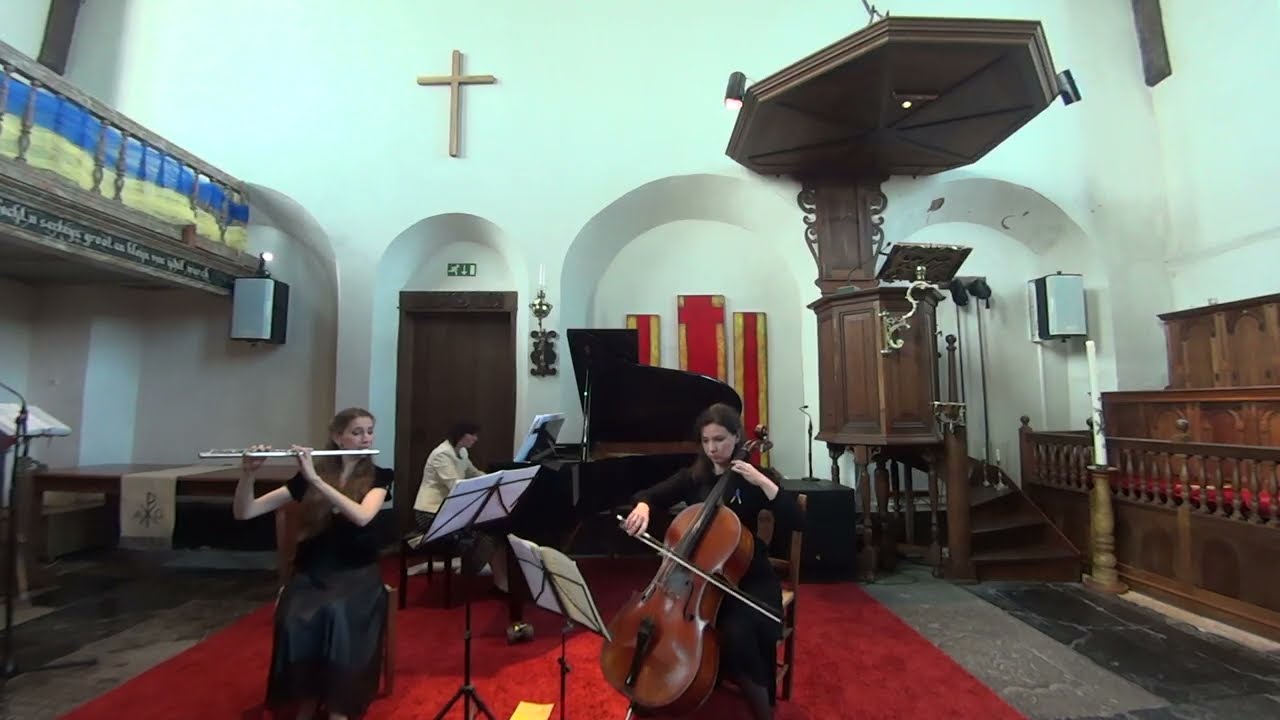 J.N.Hummel Adagio, Variationen und Rondo op.78 über ein Thema 'Їхав козак за Дунай'. LIVE #trio