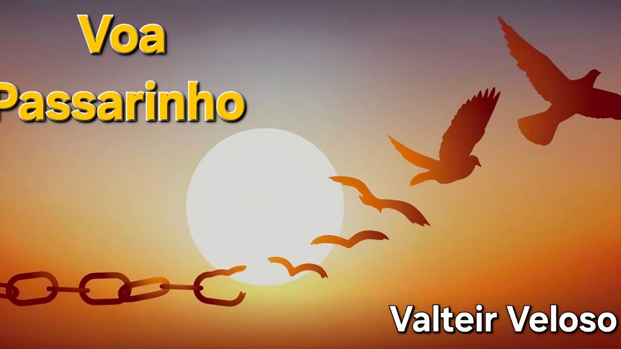 Voa passarinho @valteirvelosooficial7032 