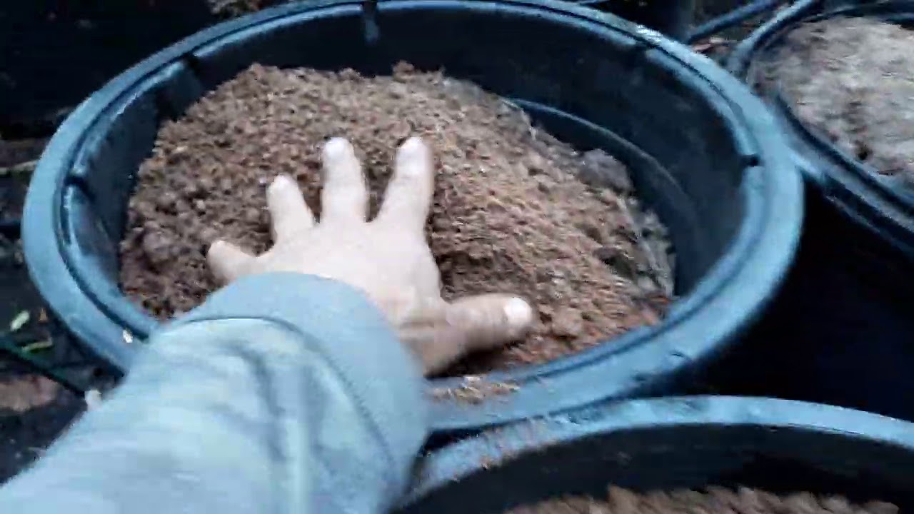 Why do we amend our soil in Arizona?