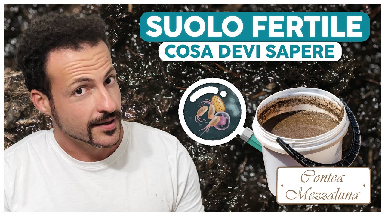 Suolo Fertile: Cosa Devi Sapere