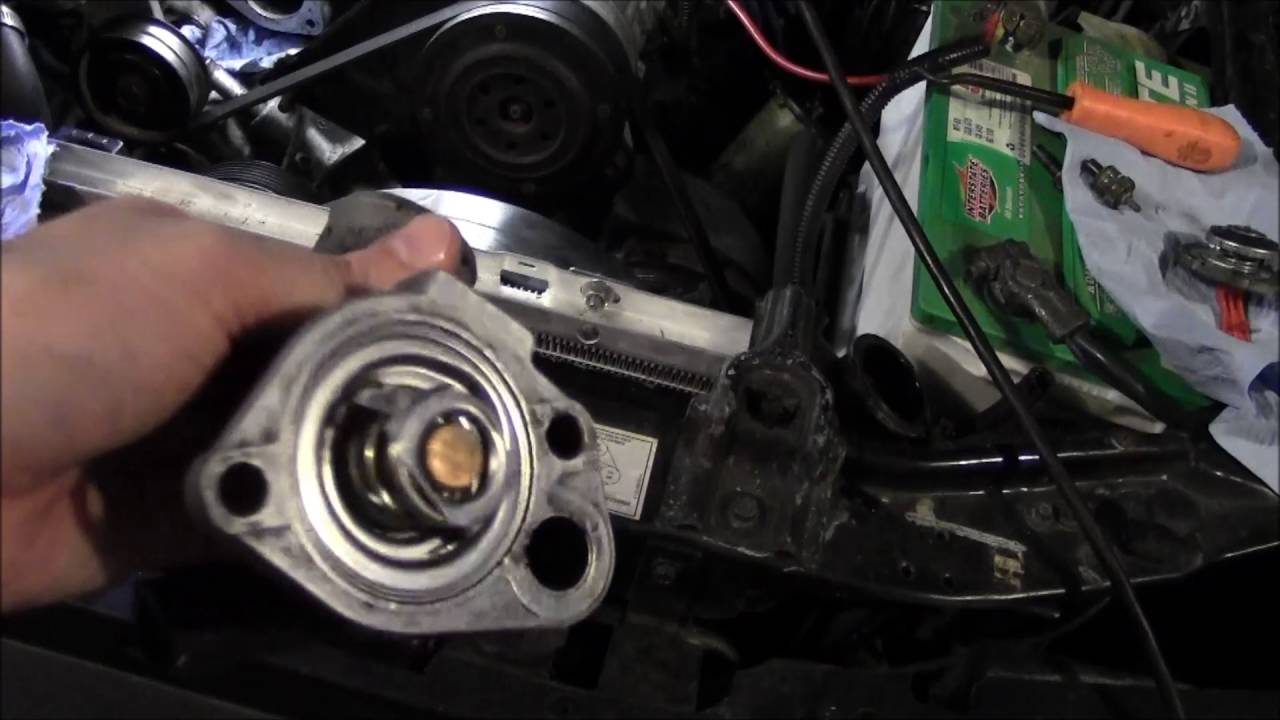 Fox Mustang PROPER Thermostat Install Asianstang War Journal Part 2
