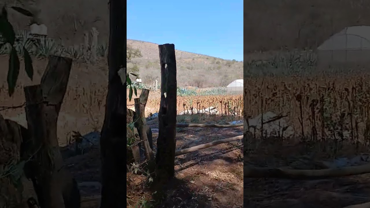 El vado la y