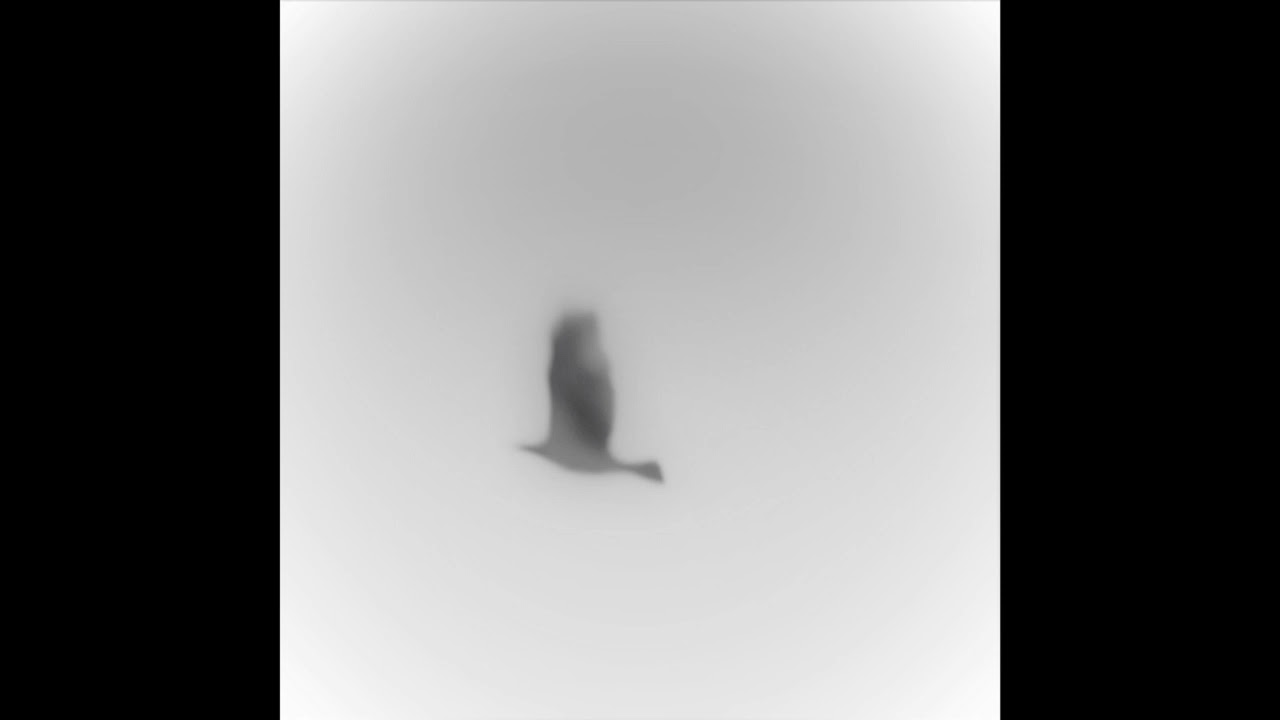 Silent Hill 2 - November Flight (Theme of Amy) - Slowed & Lowered (1 HOUR)