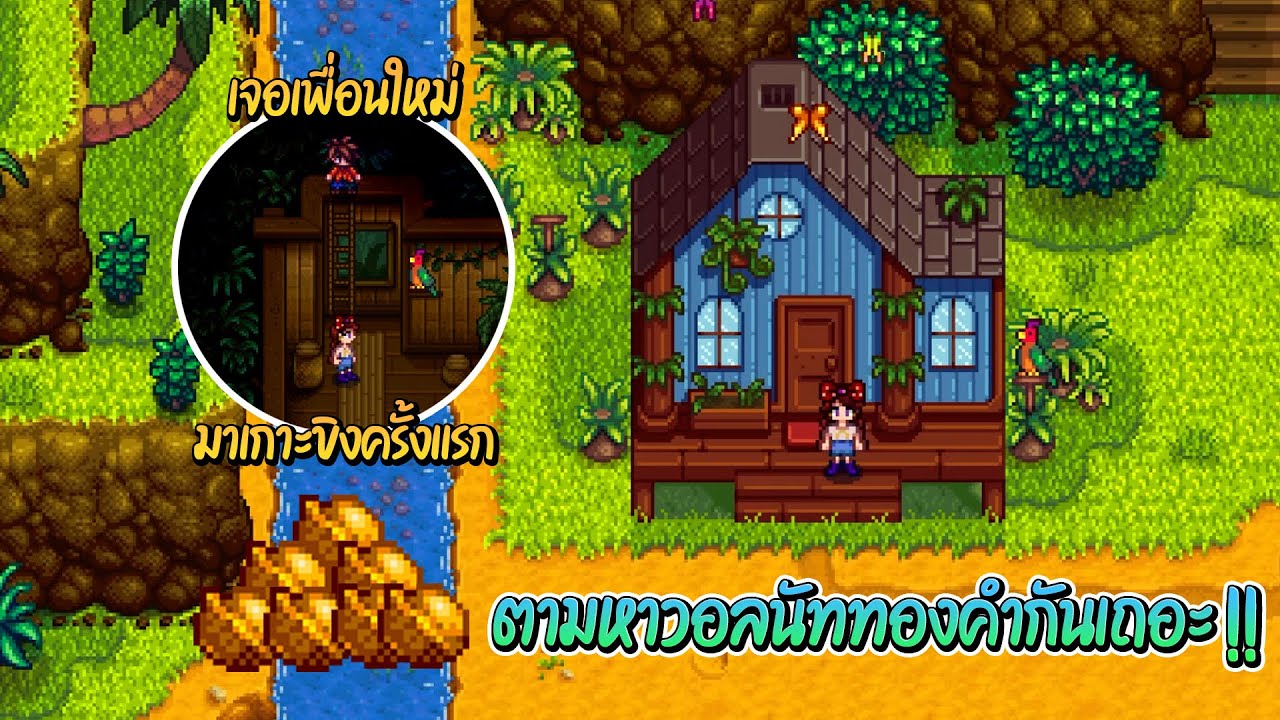 Stardew Valley Expanded - ไปเกาะขิงครั้งแรก !! มาตามหาวอลนัททองคำแบบรวดเร็วกันเถอะ !! #EP21