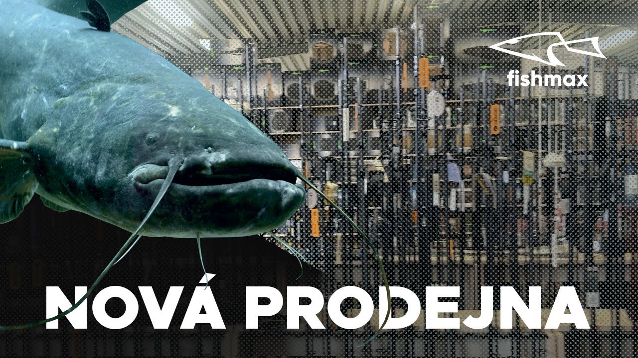 🚀🐟FishMax level up! Nová prodejna, nový rozměr rybařiny!
