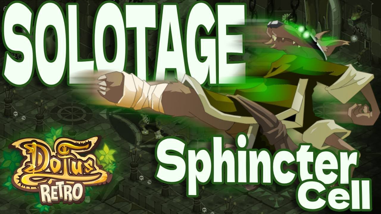 😱​SOLOTAGE AUTOWIN en FECA sur DOFUS RETRO ?! (EN DONJON)