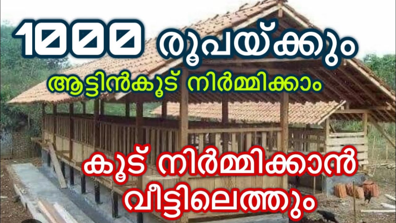 ആട്ടിൻകൂട് നിർമ്മിക്കുമ്പോൾ ഇതൊക്കെ ശ്രദ്ധിച്ചാൽ ക്യാഷ് ലാഭം goat cage in kerala malayalam