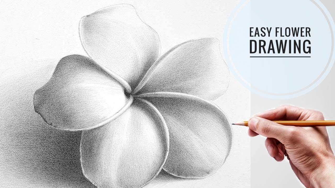 How to draw a flower, with pencil || step by step || easily for kids and bigginers.