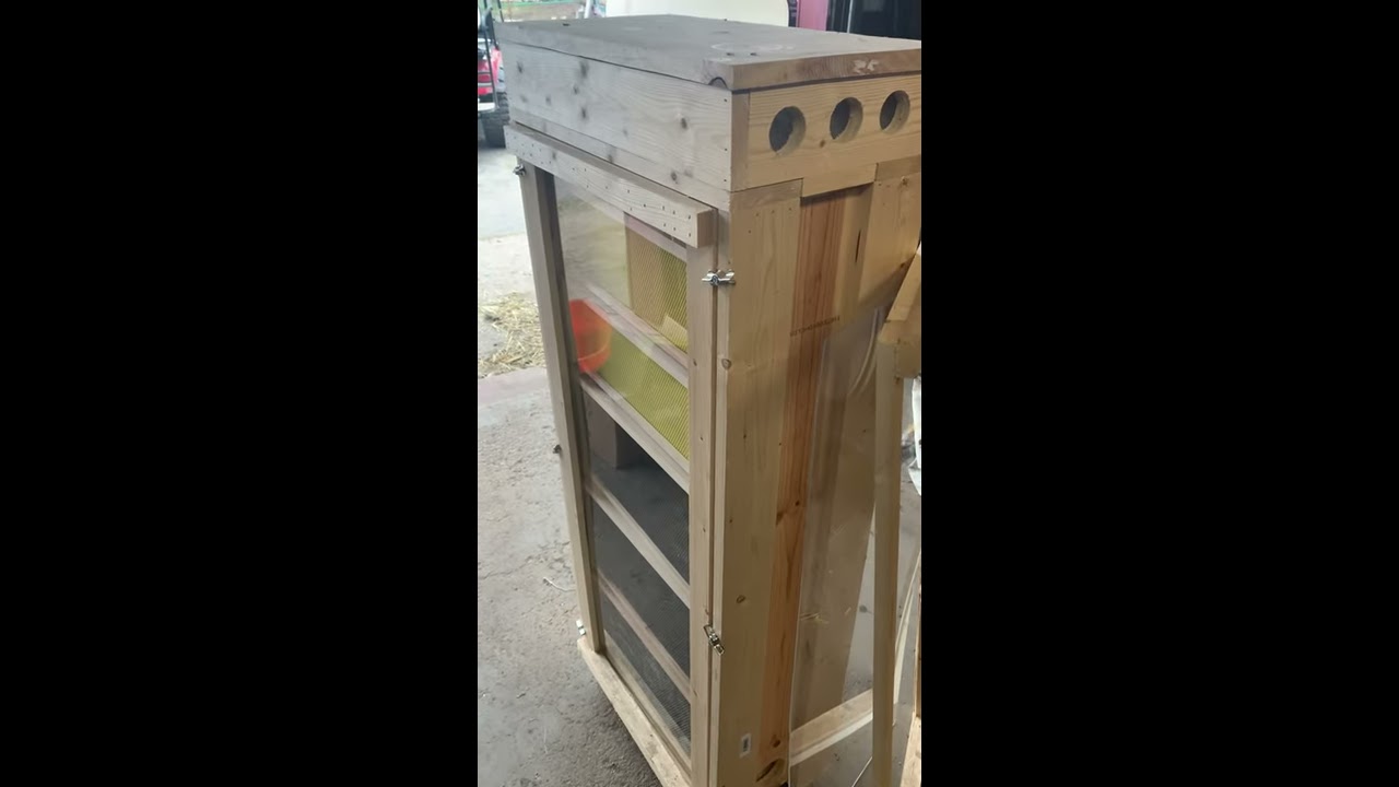 Homemade Honey Bee Observation Hive overview! #shorts