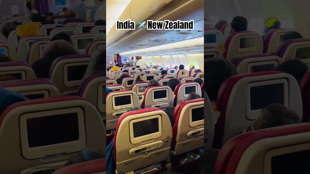 India 🇮🇳to New Zealand🇳🇿  #newzealand #internationalstudents #youtubeshorts #reels #studyabroad